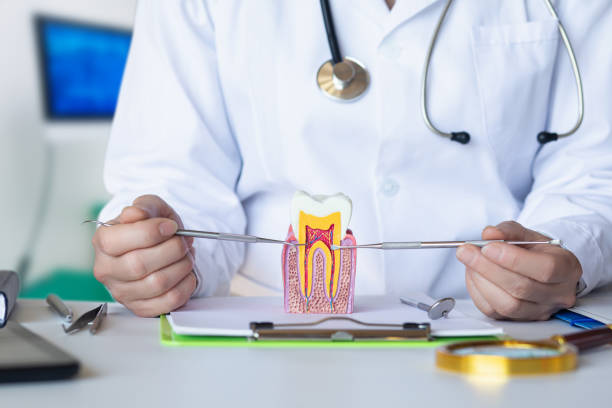 Best Emergency Orthodontic Repairs in Redwood City, CA